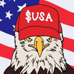 American Coin (USA)