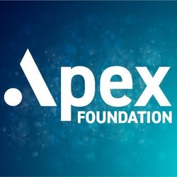 Apex Foundation price