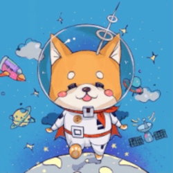 Baby Starlink Doge price