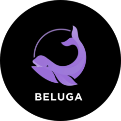 Beluga.fi price