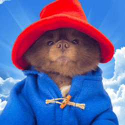 Bertram The Pomeranian (BERT)