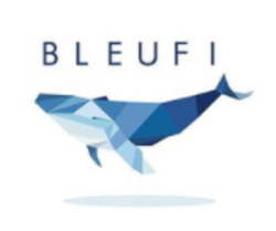 BleuFi price