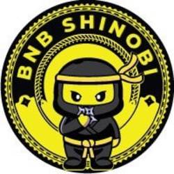 BNB Shinobi price