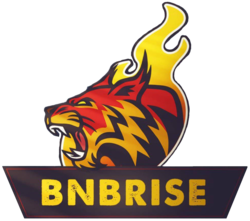 BNBRise price