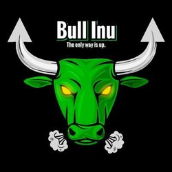 BULL Inu price