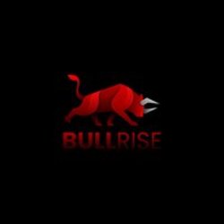BullRise price