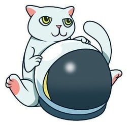 Mooncat CAT price