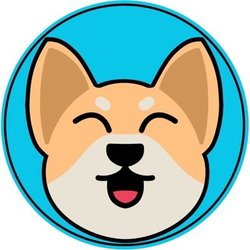 Corgi Inu price