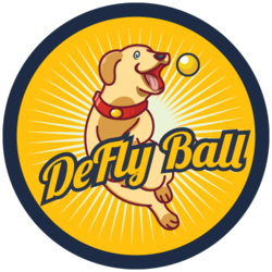 Deflyball price