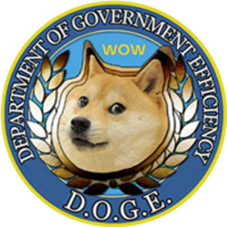 Department Of Government Efficiency (DOGE)