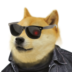 DogeFi price