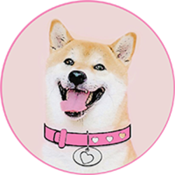 DogeGF price