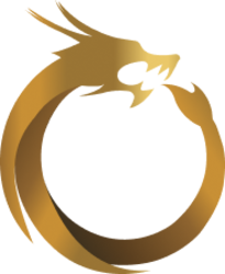 Dragon Coin price