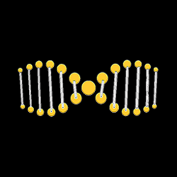 extraDNA price