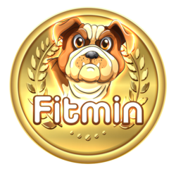 Fitmin price