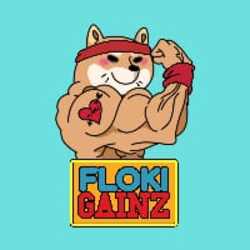 FlokiGainz price