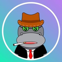 Hippo Coin price