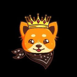 KingDoge price