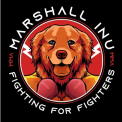 Marshall Inu price