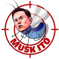 Musk Ito price