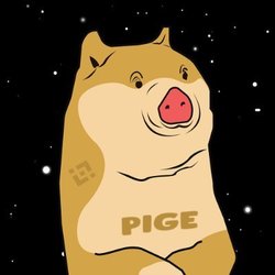 Pige Inu price