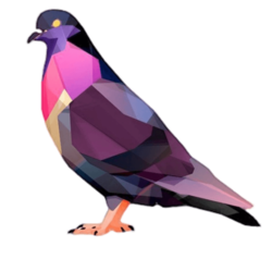 Pigeon Sol price