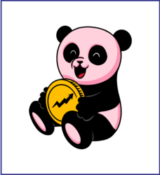 Pink Panda price