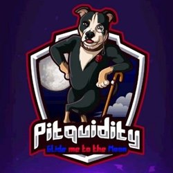 Pitquidity-BSC price