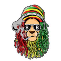 Rasta Finance price