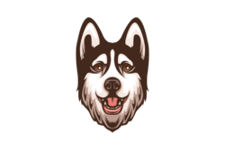 Sakhalin Husky price