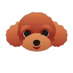 Teddy Dog price