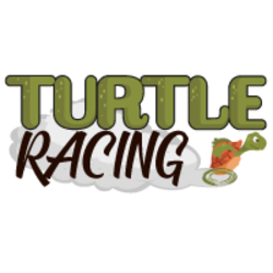 Turtle Racing price