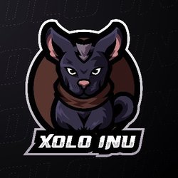 Xolo Inu price