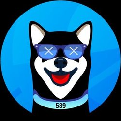 XRdoge price